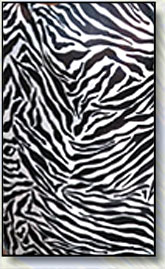 Black & White Zebra
