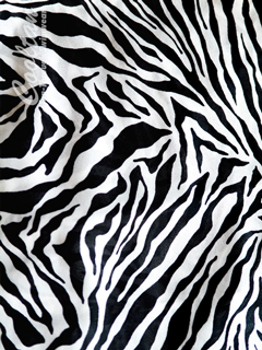 Blk & White Zebra